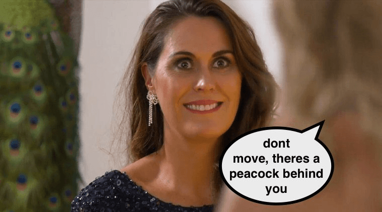 Screen Shot 2016-08-23 at 1.23.03 pm