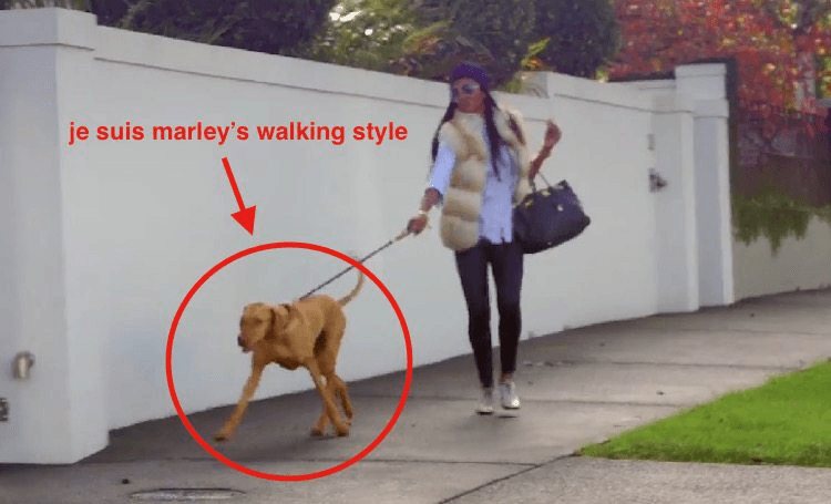 Screen Shot 2016-08-23 at 12.35.41 pm