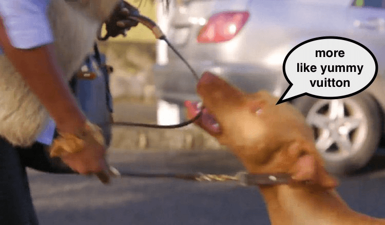 Screen Shot 2016-08-23 at 12.37.01 pm