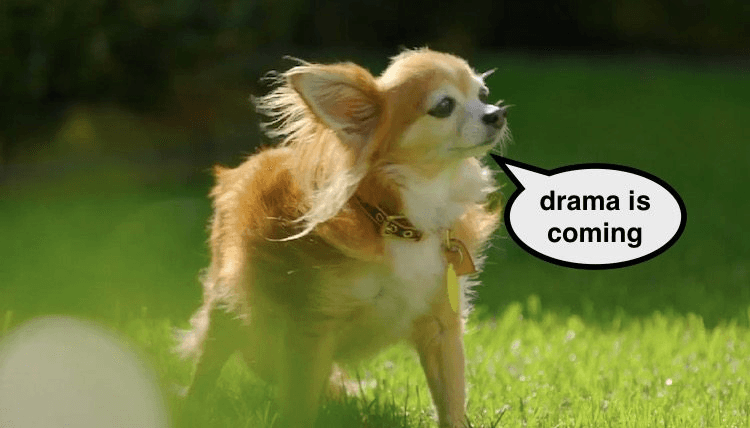 Screen Shot 2016-08-23 at 12.40.23 pm