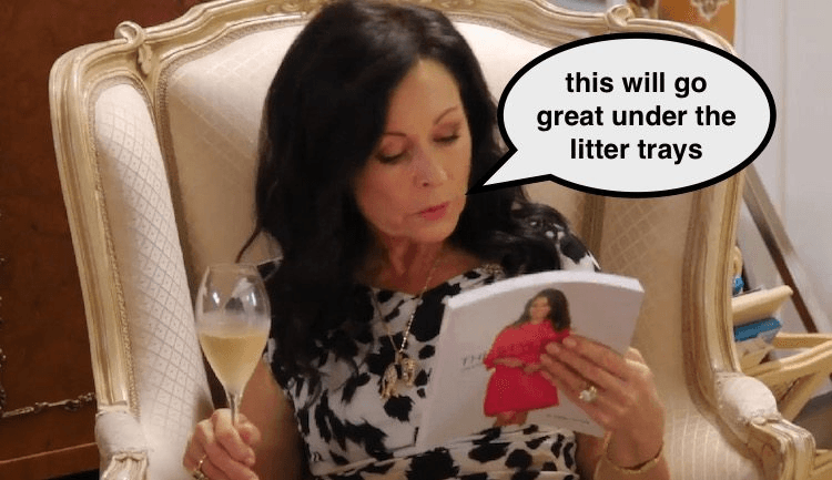 Screen Shot 2016-08-23 at 12.57.16 pm