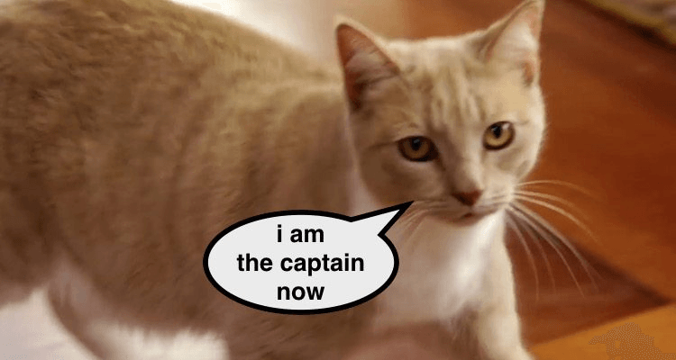 Screen Shot 2016-08-26 at 5.20.03 pm