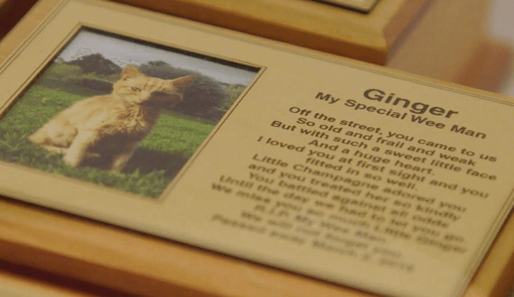 Screen Shot 2016-08-26 at 5.58.09 pm