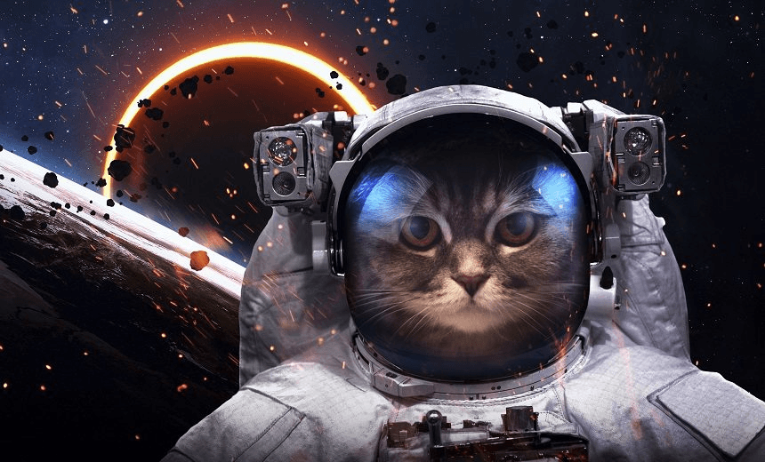Brave cat astronaut at the spacewalk. This image elements furnished by NASA 
