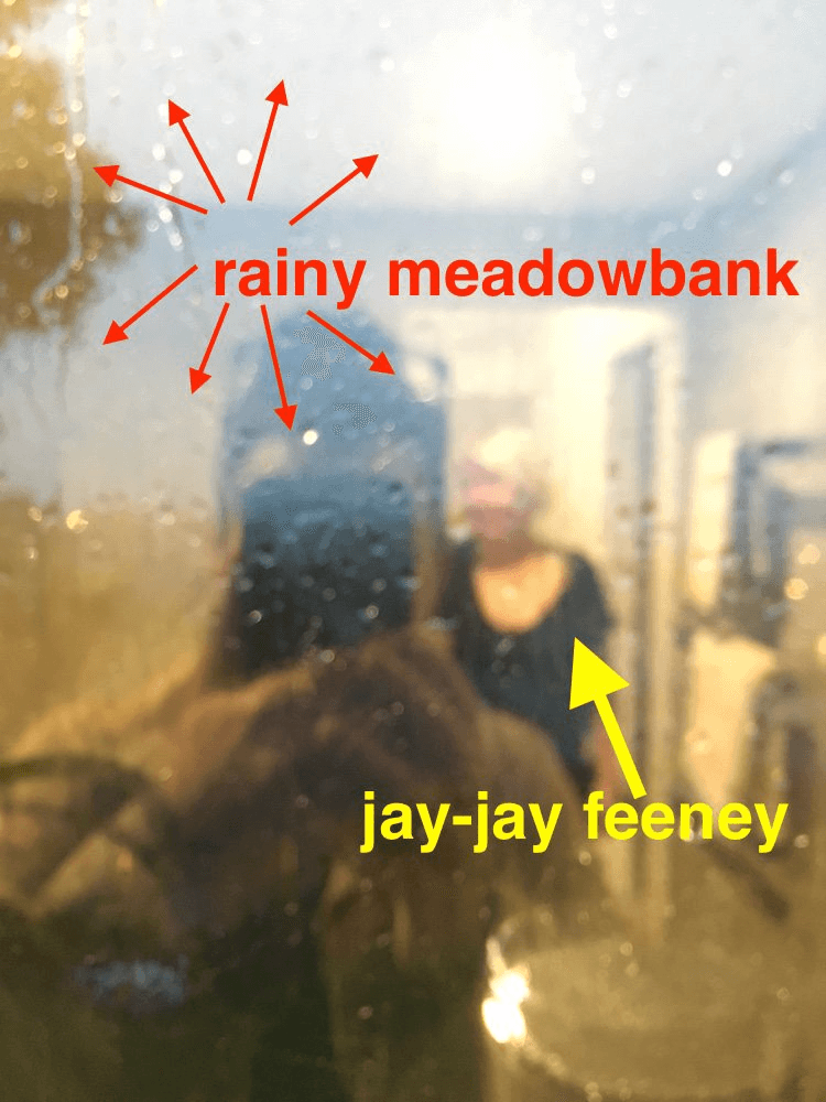 rainy feeney copy