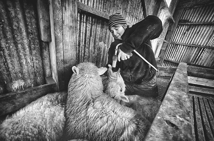 Christine Mitchell at work (Image: Otago University Press)