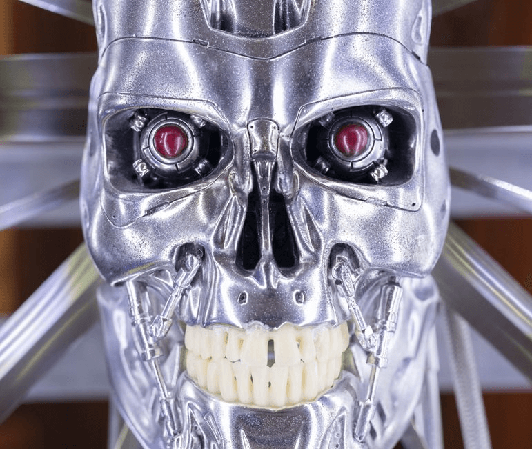 Secret Power at Te Papa. Photograph: Kate Whitley/Te Papa