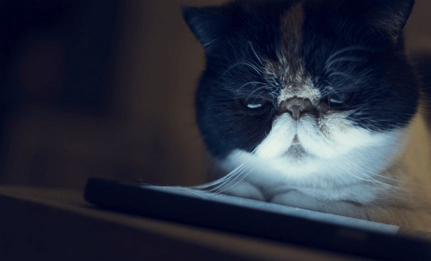 istock_54911218_medium