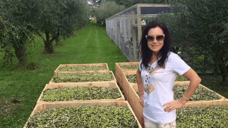 anne-bb-house-4-olive