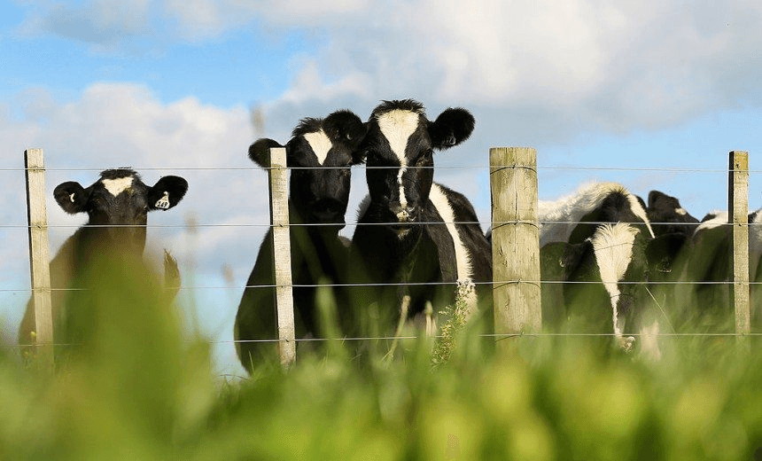 gettyimages-146541385