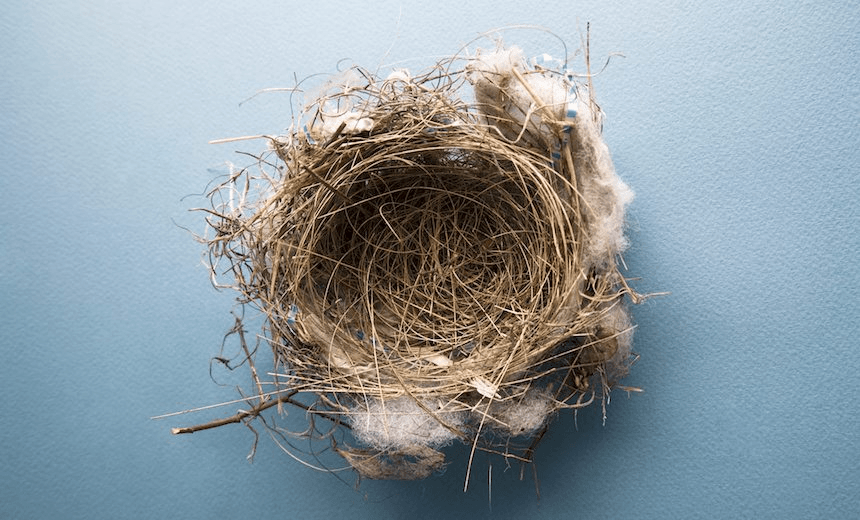Empty Bird&#8217;s Nest On Blue