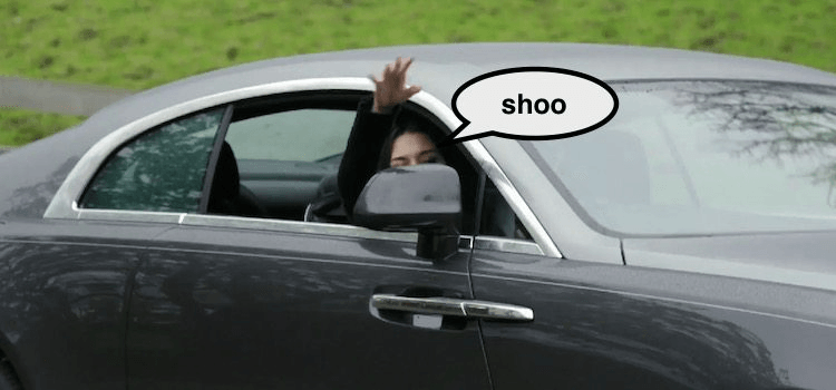 screen-shot-2016-10-12-at-5-47-44-pm