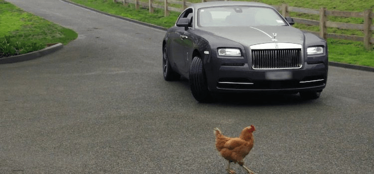 screen-shot-2016-10-12-at-5-47-46-pm