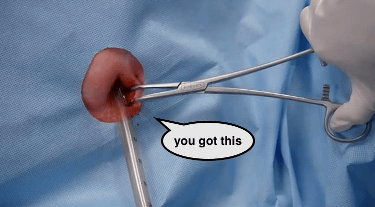 screen-shot-2016-10-22-at-8-46-03-pm