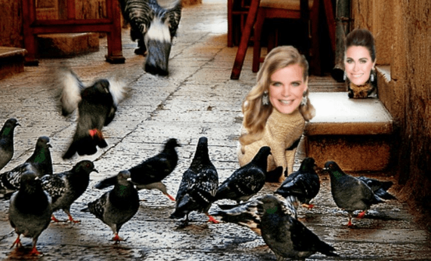 The Real Podcast of Housewives, Episode Ten: every single cat is thrown amongst the pigeons