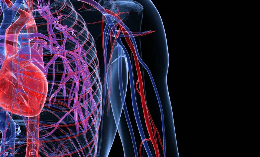 The Friday Poem: ‘The heart heals itself between beats’ by Elizabeth Smither