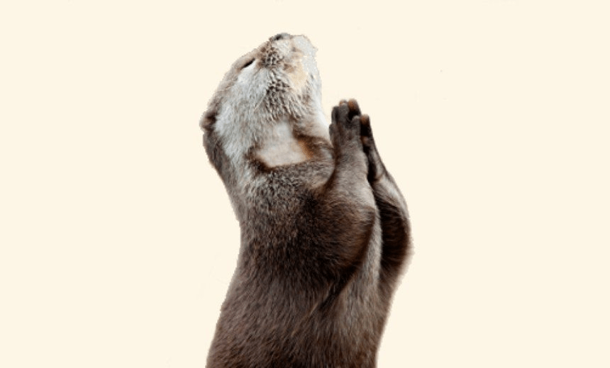 praying-otter