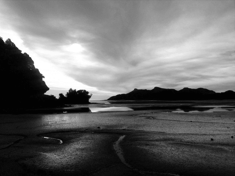 Whanganui Inlet, photo by Talia Marshall