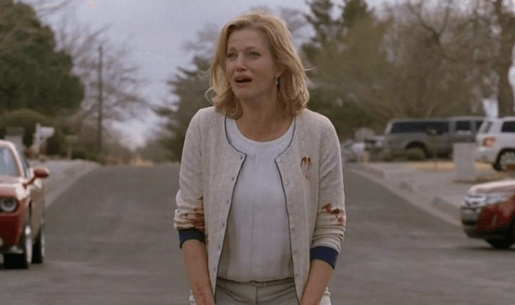 5x14_-_skyler_on_road