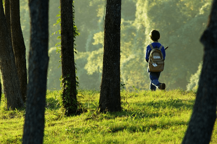 Young Boy with Backpack Hiking in the Woods Alone