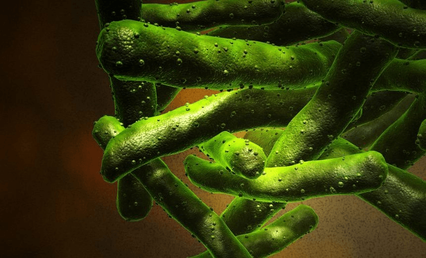 A stylised scanning electron microscopic image of mycobacterium tuberculosis. This bacterium causes most cases of tuberculosis.