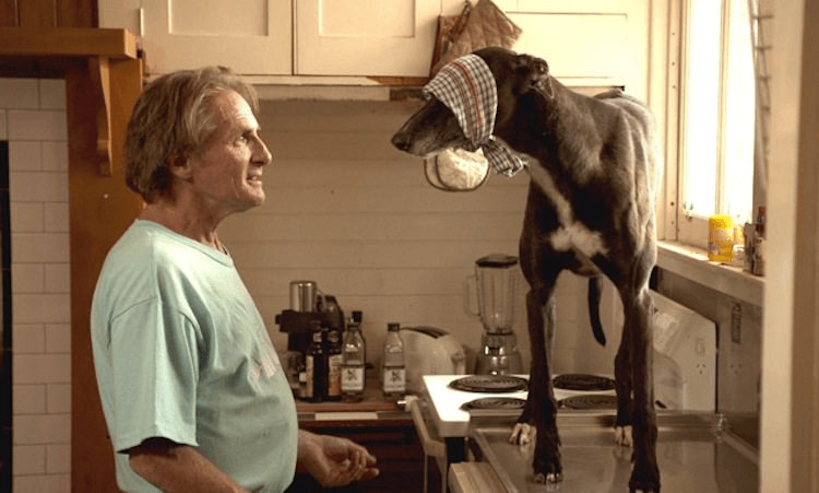 A still from the DLC-produced series Hounds