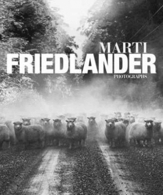 marti-friedlander-book