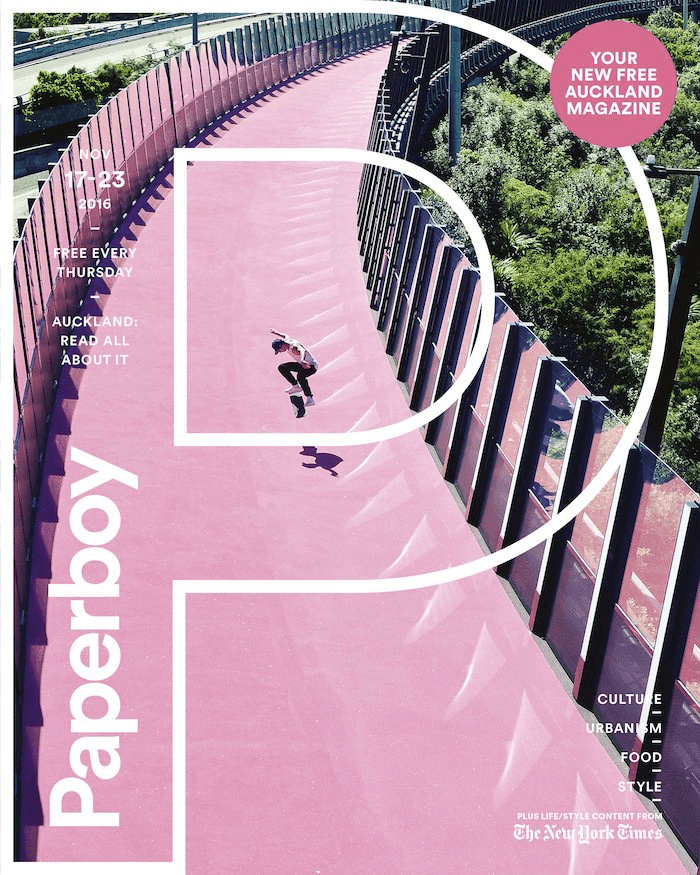 THE NOVEMBER 17 ISSUE OF PAPERBOY