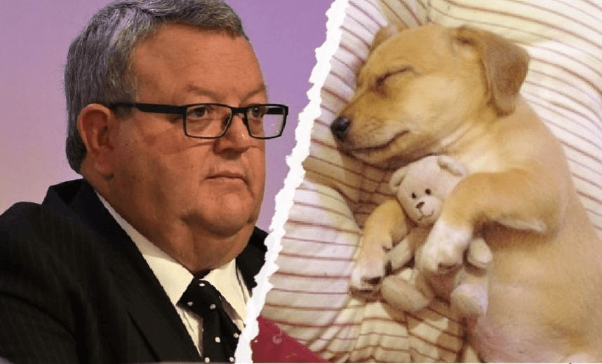 Gerry Brownlee, left, and a cute puppy, right 
