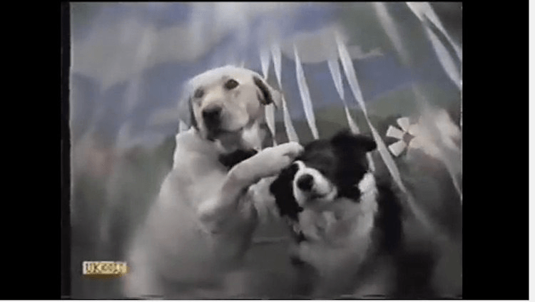 screen-shot-2016-12-07-at-1-28-02-pm