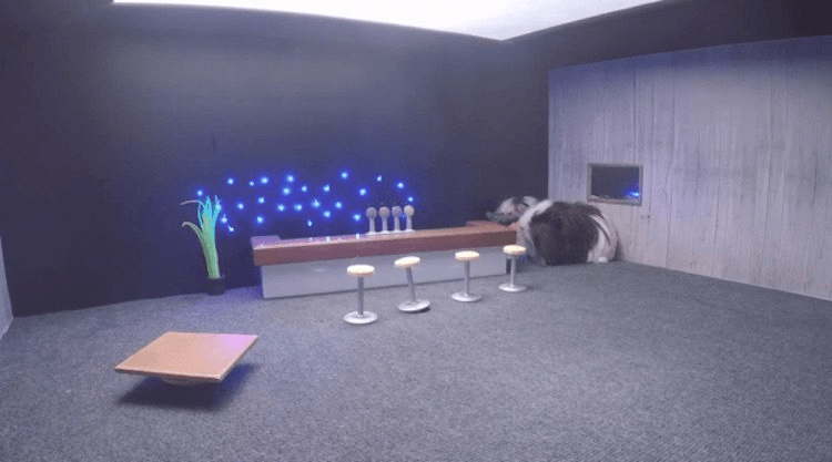 screen-shot-2016-12-07-at-10-56-05-am