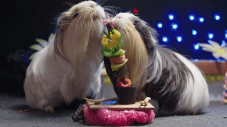 screen-shot-2016-12-07-at-10-58-51-am