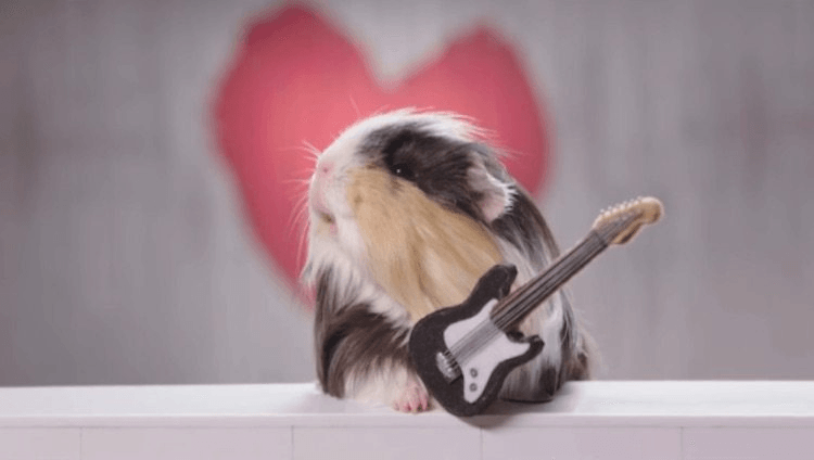 screen-shot-2016-12-07-at-11-04-07-am