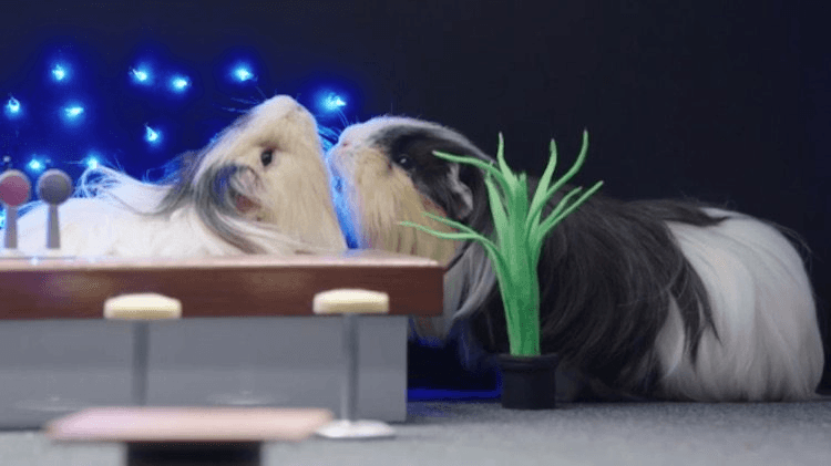 screen-shot-2016-12-07-at-11-34-17-am