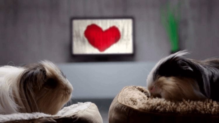 screen-shot-2016-12-07-at-11-36-43-am