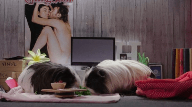 screen-shot-2016-12-07-at-11-39-24-am