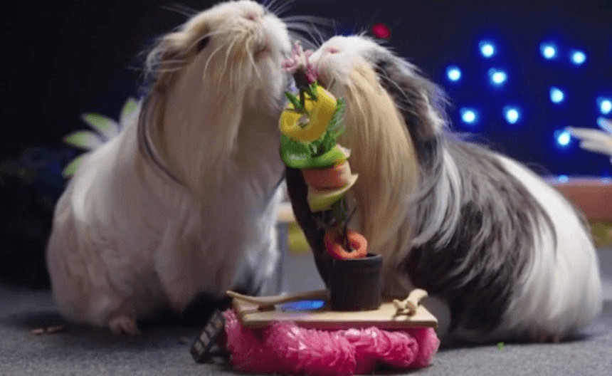 screen-shot-2016-12-09-at-1-11-05-pm