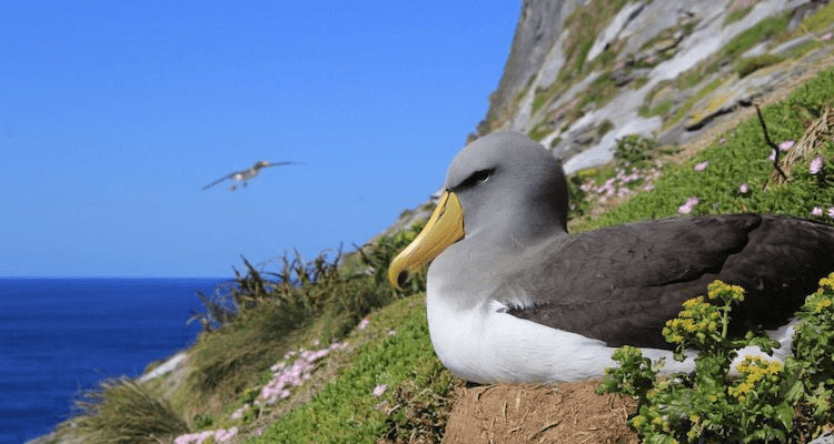 screen-shot-2016-12-20-at-11-58-55-am