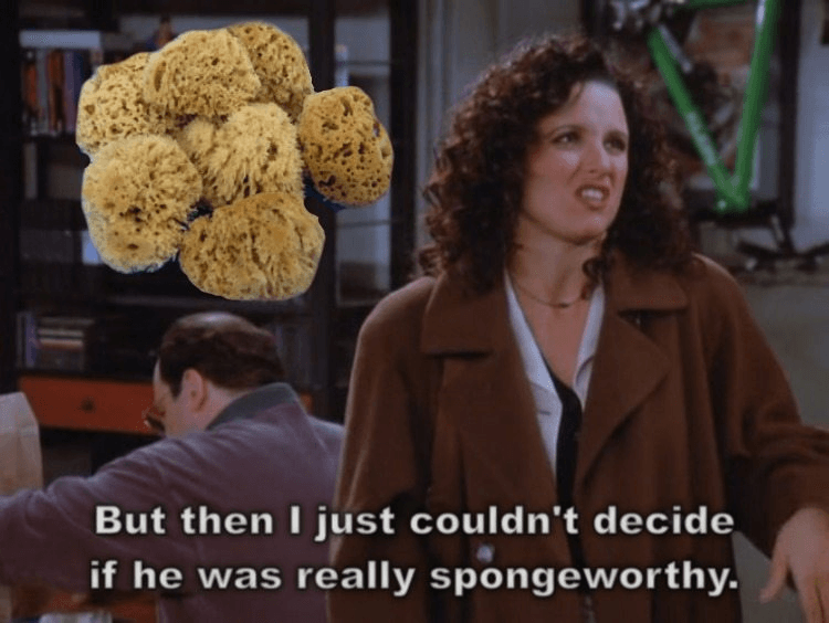 spongeworthy