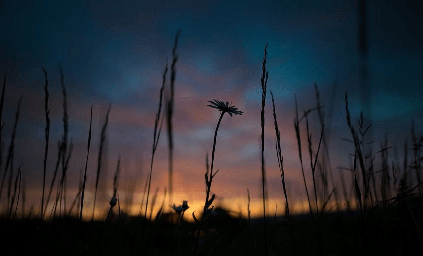 An IVF journey: A mother writes to the baby she hopes to have