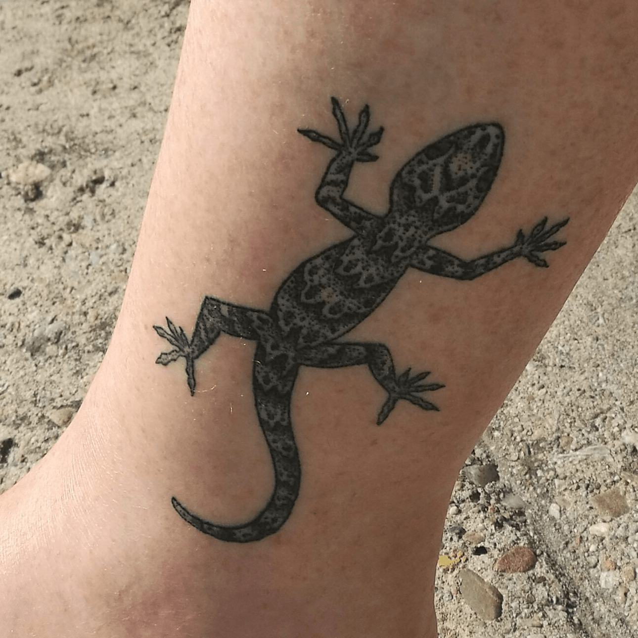The most controversial gecko tattoo in the history of NZ politics, on the Araroa trail. Photo: C Wade-Brown