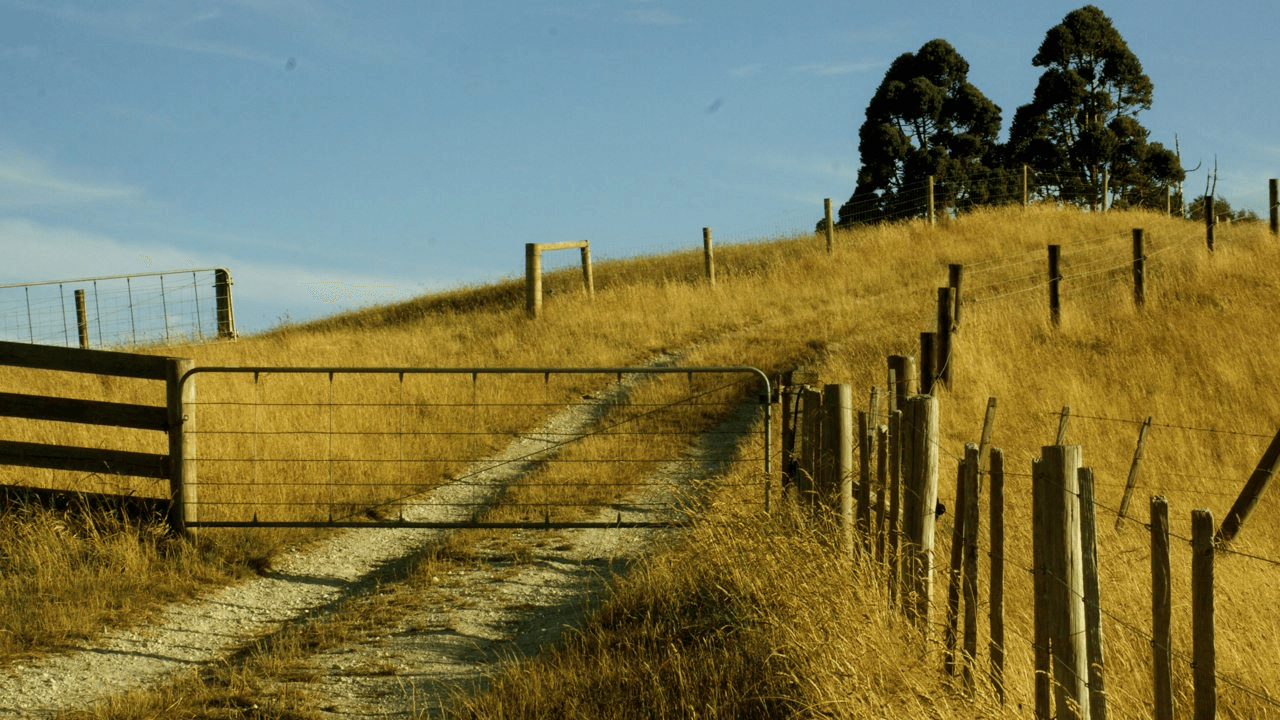 Photo: Kelly Ana Morey