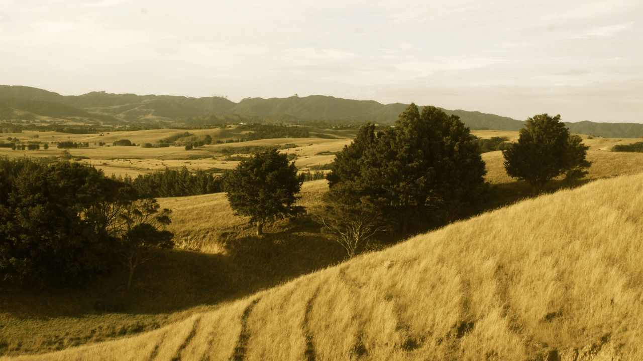 Photo: Kelly Ana Morey