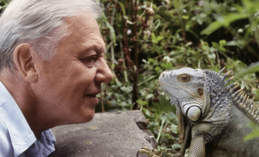 Dear David Attenborough, on behalf of all humans