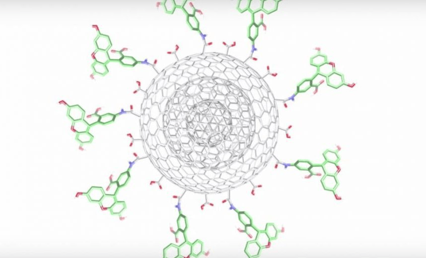 Unpeeling the nano onion: Silvia Giordani on the potential for a massive, tiny breakthrough in cancer treatment