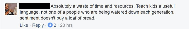 Why does the idea of te reo Māori as a core subject make so many people ...