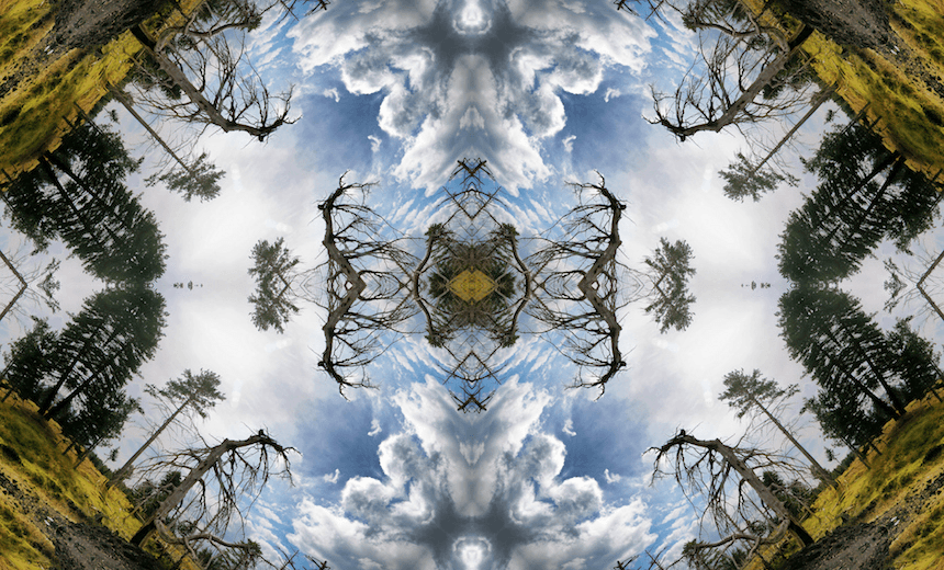 kaleidoscopic image of forest with damaged tree in the foreground 
