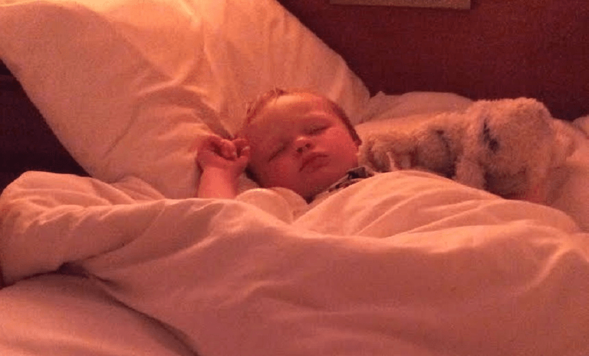 Sleeping Ham – a rare sight 
