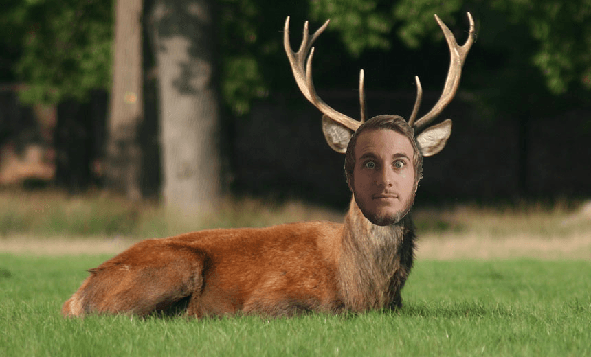 hunting feature image