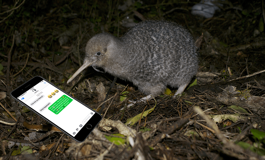 Kiwi on the phone